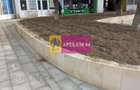 Inchiriem spatiu comercial Alexandria cu 7 eur/ mp/luna - 4