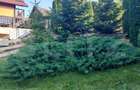 Casă de vânzare în Vatra Dornei, 65 mp amprenta la sol