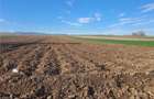 Teren extravilan 4.500- max.18.300mp in comuna Rosia (17 km de Sibiu) - 6