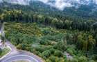 Teren intravilan Predeal-Strada Mihail Saulescu - 10