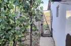 Casa de poveste si gradina 1550mp aproape de Craiova - 2