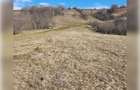 Teren de exceptie 3,1 ha intravilan | Panorama, utilitati, acces dublu | Sard - 2