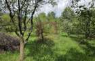 Vila cu livada de vanzare in Breaza - 46
