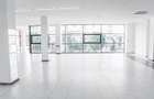 Delfinariu - bd. Mamaia, spatiu comercial , 325 mp. - 19
