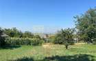 Teren 1541 mp sat comuna Buhoci str Prunului jud Bacau - 4