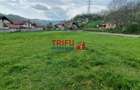 Teren de vis la liziera pădurii – liniște, natură și aer cur - 8
