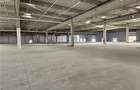 Spatiu Industrial - 9500 mp - Logistica - Productie - Depozitare - Distributie - 19