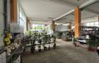 Spatiu comercial de vanzare, 330 mp, Zalau - 2