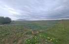 Oază de Natură și Potențial: Teren de 48.100 mp lângă Delta din Carpați - 5