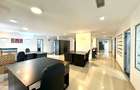 Business Hub Petre Ispirescu - 6 camere - 10