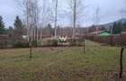 Teren intravilan, livada, langa padure,  pe Valea Avrigului - Sibiu - 11