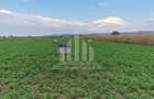 Teren intravilan | 17300 mp | 20 de parcele | Soseaua de Centura - 1