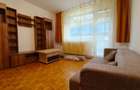 Apartament 2 Camere, 45 MP, Grigorescu - 10