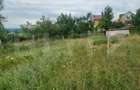 Teren 4.000 mp cu priveliște spre oraș, zonă liniștită, disponibil și parcelat - 11