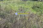Teren intravilan I 760 mp I  DE VANZARE I in Barabant cu toate utilitatile I - 2