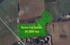 Teren intravilan 36.000 mp Crevedia - Dambovita - 1