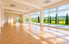 Spatiu comercial nou, acces facil, componenta si dotari apreciabile, Calea Bucur - 1