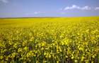 PORTOFOLIU AGRICOL PREMIUM 3.000 HA SUDUL ROMÂNIEI OPORTUNITATE INVESTIȚIONALĂ - 8