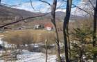 Teren de 10200mp,intravilan , cu deschidere la asfalt - 4