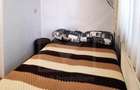 De inchiriat apartamet cu 1 camera Grigorescu - 5