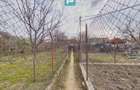 Apartament la casă pe Calea Timișorii - 13