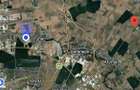 Teren Industrial Afumati 16.005 mp cu Deschidere 55 ml - 2