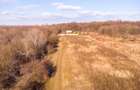 Teren intravilan Măgurele langa padurea Cornetu si Arges - 5