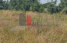 Vânzare 2 loturi de casă Dobreni Giurgiu - 1