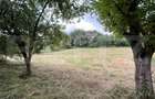 Teren intravilan autorizabil, 1397 mp, front 16.5 m, zona Micesti - 4