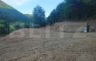 Teren de vanzare, 10.000 mp - Bistrita Bargaului, zona turistica - 6