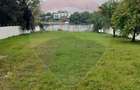 Vanzare vila D+P+E+M, 8 camere, 520 mp, pe malul Lacului Mogosoaia - 9