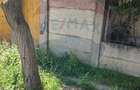 Casă cu gradina mare in Boiu - 8