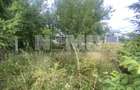 Teren Intravilan | 20 Ari | Frătăuții Noi - 3