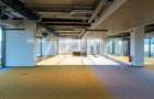 Birouri premium in Sibiu–Spatii flexibile moderne pentru companii - 13