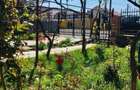 Casa + teren 871 mp - Valu lui Traian - Constanta - 5