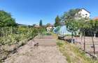 Casa 5 camere, teren 1296 mp, Craiova, zona Brestei - 17