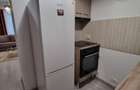 Apartament mobilat si utilat in Rin Grand Hotel- Vitan Barzesti - 16