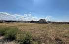 TEREN GRIGORESCU 500 MP | TOATE UTILITATILE | ORADEA - 4