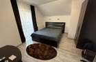 Casa individuala 5 camere 2 bai zona Terezian - 17
