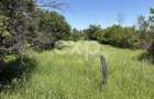 Teren 2.200 mp lângă pădure, la 11 km de Pitești – ideal pentru casă și relaxare - 2