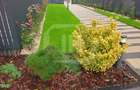 Apartament 2 camere in bloc premium - 10