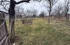 Vila P+1  Ploiesti - Paulestii Noi - 51
