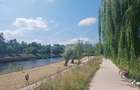 Apartament cu 2 camere in Grigorescu aproape de Parcul Rozelor - 2