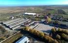 Platformă betonată de închiriat până la 6000 mp, Remetea Mare lângă A1 - 5