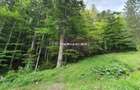 Teren intravilan de vanzare in Sinaia - Zona Furnica - 1