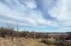 Teren intravilan, 2 x 25 ari, Livada SCPP, Strada Cerbului, Zalău, panoramă - 7