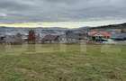 Teren intravilan de vanzare, 4.600 mp, zona Tărpiului din Bistrița - 4