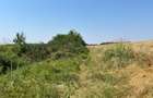 Ciolpani -Ilfov - teren 4000 mp