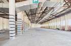 HALĂ INDUSTRIALĂ DE 800 MP DE ÎNCHIRIAT - 4