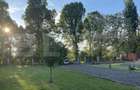 CASA 5 camere , GORNESTI , 360 mp , teren 3400 mp - 4